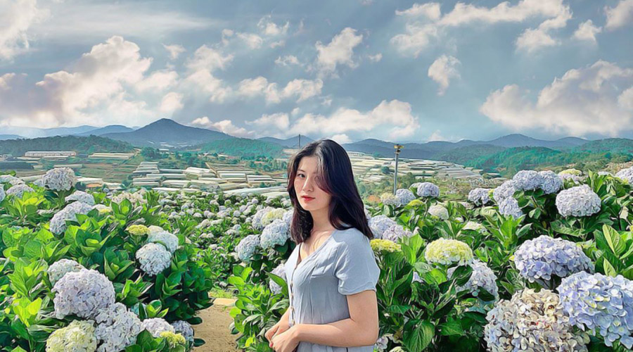 Đà Lạt – Thành Phố Ngàn Thông