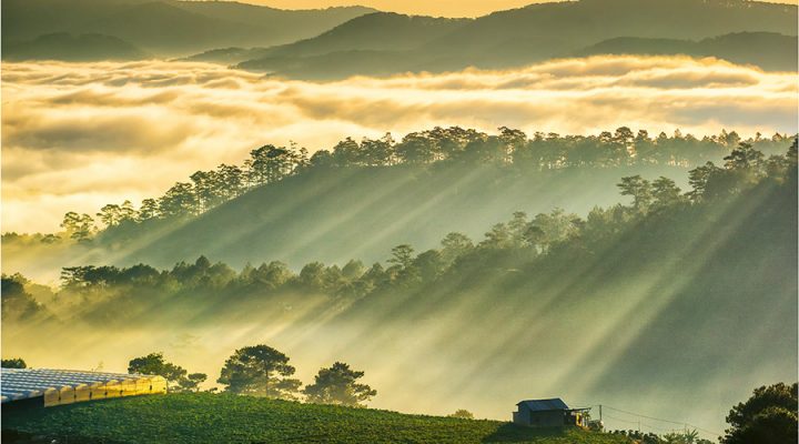 Đồi Túy Sơn - Đà Lạt